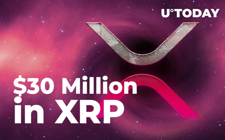 Anon Whale Moves Close to $30 Million in XRP, While Coin Rises 9.21%