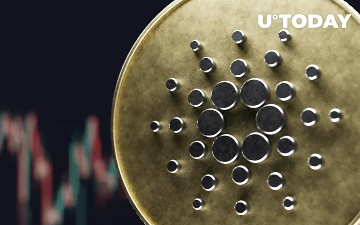 Cardano Diamond Hands: Long-Term Holders Unfazed by Sell-Off