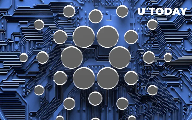 Cardano Tops in Adjusted Volume Transactions Despite Price Tumbling 18%