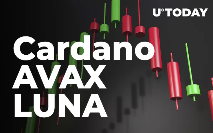 Cardano, AVAX and LUNA Enter Extremely Oversold Zone, Here's What It Means for Market