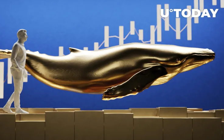 3.5 Million MATIC, 99,990 LINK Bought by Whales as These Tokens Enter List of Most Wanted Crypto