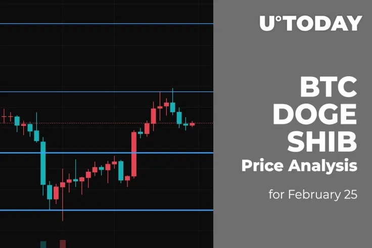 BTC, DOGE and SHIB Price Analysis for February 25