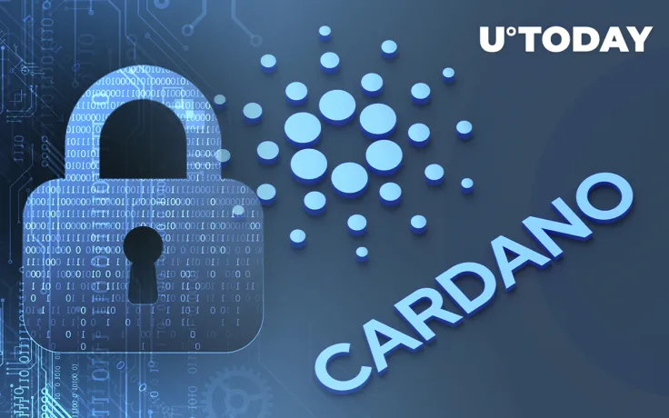 Cardano Attracts $50 Million to DeFi Projects in Last 30 Days, TVL Reaches $117 Million