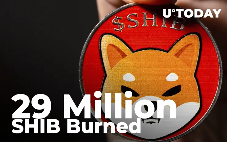 29 Million SHIB Burnt Over Last 24 Hours Amid 17% Weekly Fall