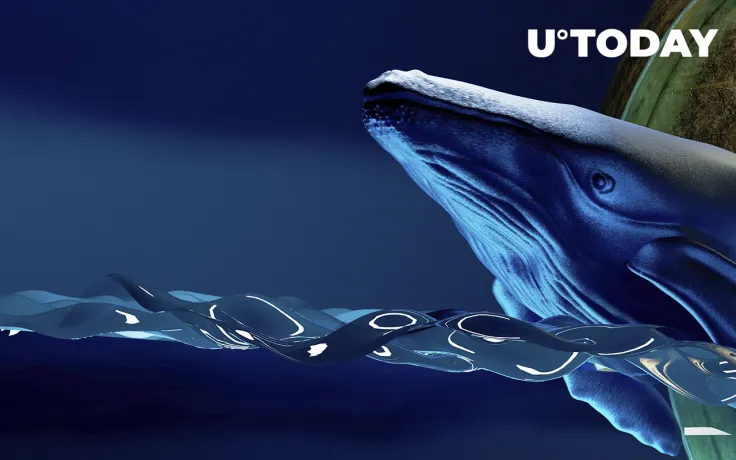 Whales Keep Buying MATIC and LINK, While Holding Large Amount of SHIB