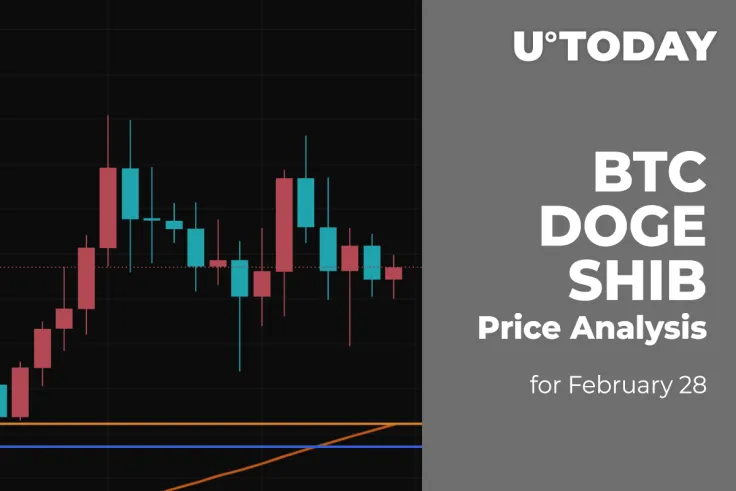 BTC, DOGE and SHIB Price Analysis for February 28