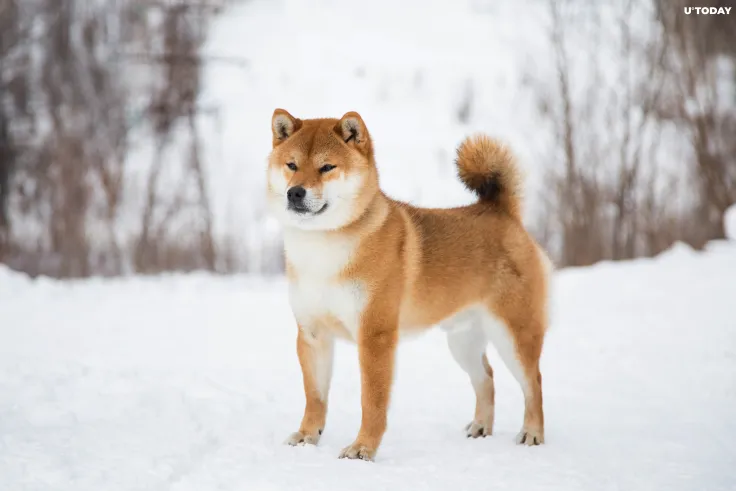 Shiba Inu and Other Coins Now Supported by Binance Custody