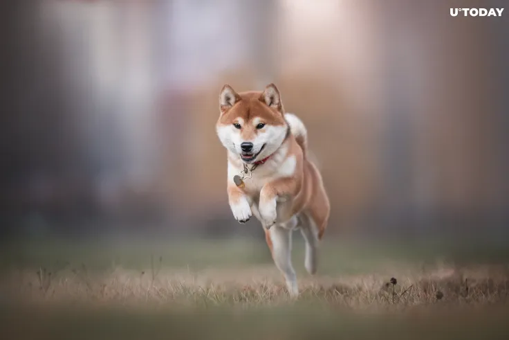 Public Testnet of Shiba Inu’s Layer 2 Solution to Launch "Very Soon"