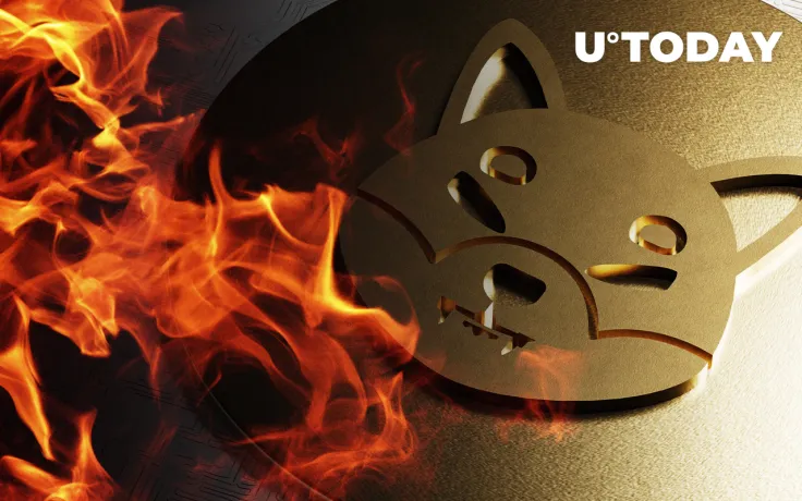 49 Million Shiba Inu Tokens Burned Amid SHIB's 15% Rise