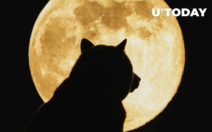 Shiba Inu Attains "Powerful Partnership" in the Fashion World: Details