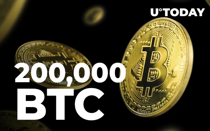 More Than 200,000 BTC Moved by Whales Amid Bitcoin's 18% Climb