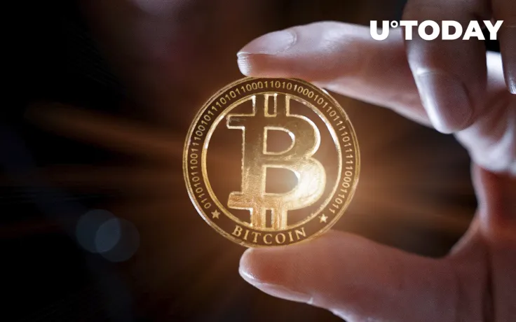 $516.3 Billion in BTC Held by these Wallets After Recent Accumulation: IntoTheBlock