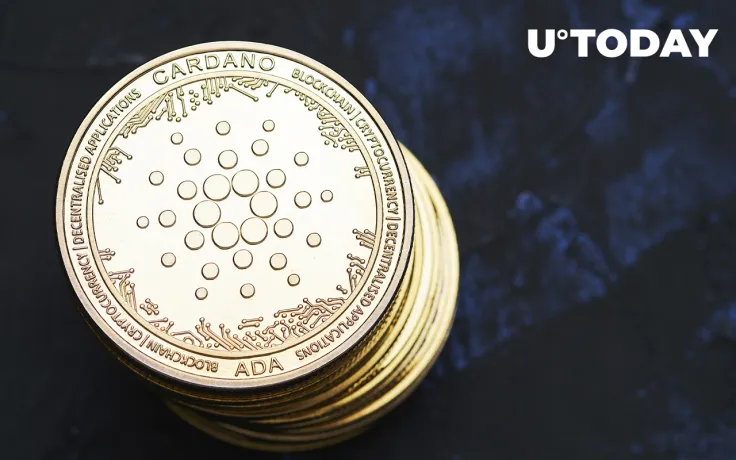 Cardano Whales Bought Over 16 Million ADA as Price Surged, Data Shows