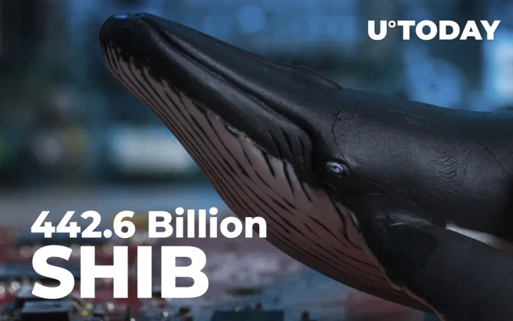 SHIB Whale Buys 442.6 Billion Shiba Inu in Single Transfer: Details