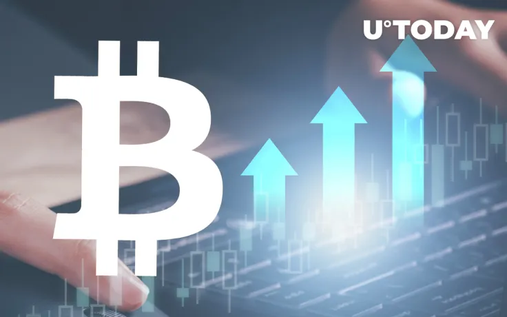 Short-Term Bitcoin Traders Increase Holdings by Nearly 5% as Retail Interest Returns: Details