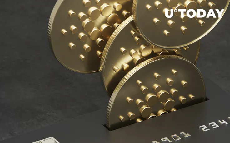 Cardano Whales Keep Buying ADA, Now Hold 12.47 Billion Coins: Report