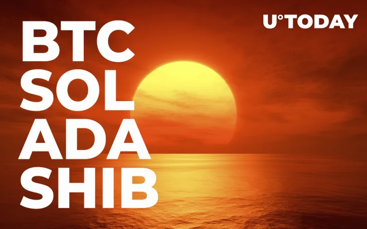 BTC, SOL, ADA, SHIB: Market in Sea of Red