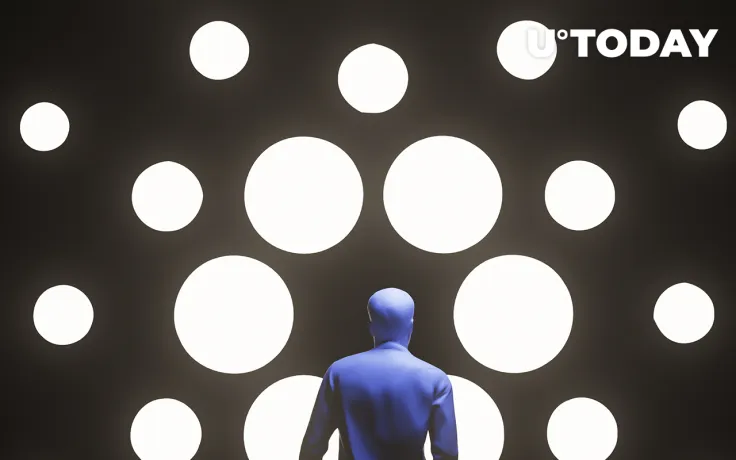 Cardano Accumulation Continues as Addresses Hold 12.49 Billion ADA