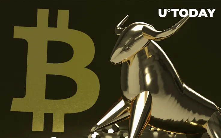 Bitcoin Mining Veteran Jiang Zhuoer: Permanent Bulls Don't Have the Most Basic Common Sense