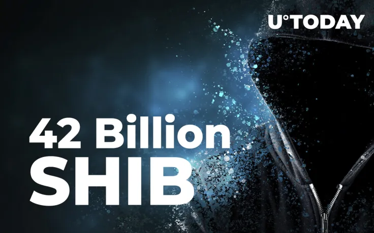 This Shiba Inu Whale Just Grabbed 42 Billion SHIB Tokens