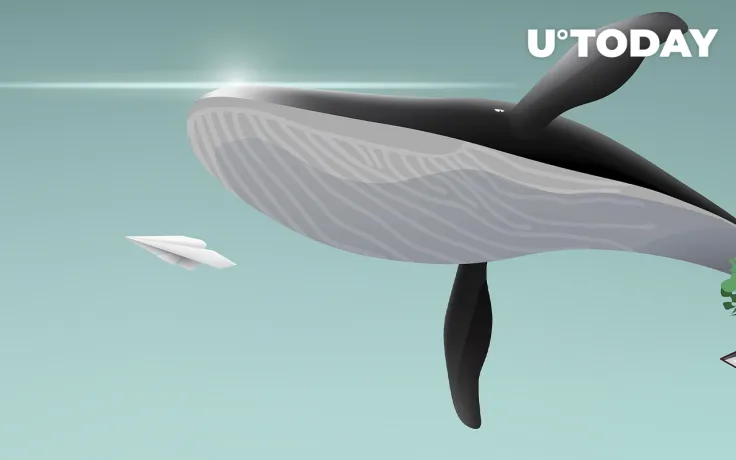 Ethereum Accumulation: Whale Addresses Are Still Buying Despite Suppressed Price Performance: Santiment