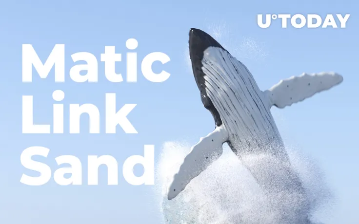 Matic, Link, Sand: Crypto Whales Are on Buying Spree, WhaleStats Report