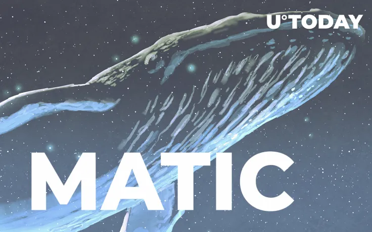 MATIC Large Transactions Increase by 105% as Whales Return: Details