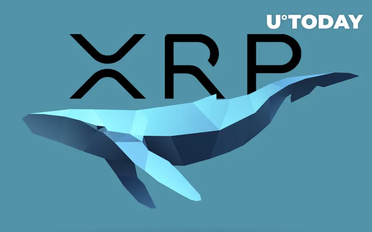 XRP Whales Move 60 Million Coins Between Wallets: Whale Alert