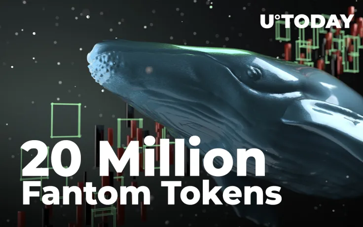 Whales Grab 20 Million Wrapped Fantom Tokens and 1.1 Million FTM Amid Dip-Buying: Details