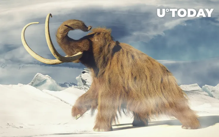 Cardano Creator Invests in Reviving Woolly Mammoths