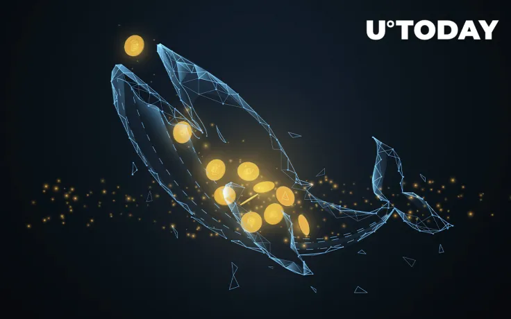 Whales Scoop Up Massive Amounts of Bitcoin, Ethereum and SHIB as Prices Fall: Details