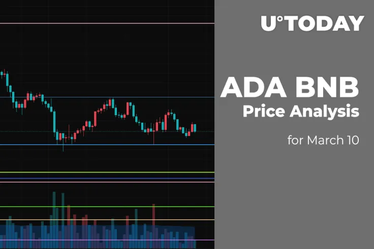 ADA and BNB Price Analysis for March 10