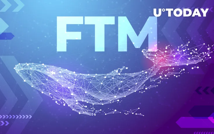 Whales Grab $15 Million Worth of FTM, Here's Why