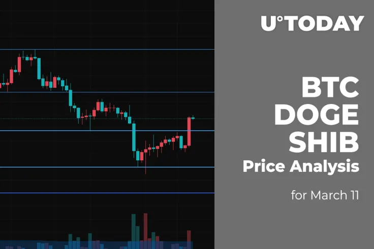 BTC, DOGE and SHIB Price Analysis for March 11
