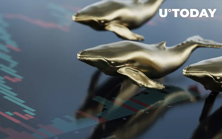 SHIB, MATIC, SAND, FTT Are Among Top 100 ETH Whales’ Holdings: Report