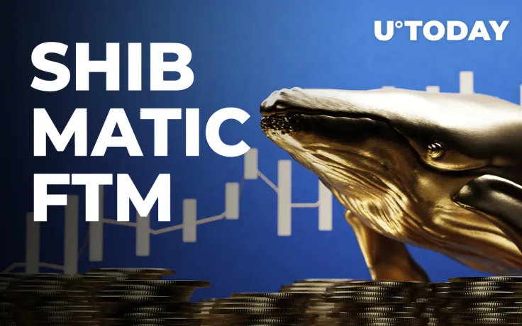 SHIB, MATIC, FTM Among Top Acquisitions of Whales in Past 24 Hours: Report