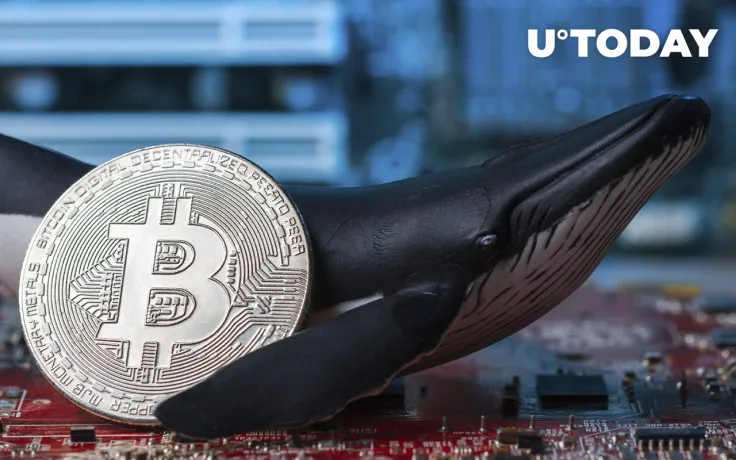 Bitcoin Whales in Uncertainty as BTC Fails to Hold Above $40,000