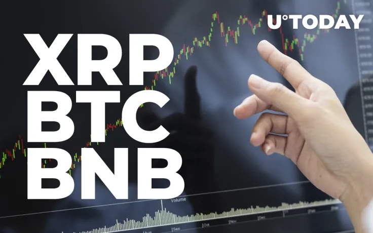 XRP, BTC, BNB Traders Believe Prices For These Coins Will Rise Soon: Report
