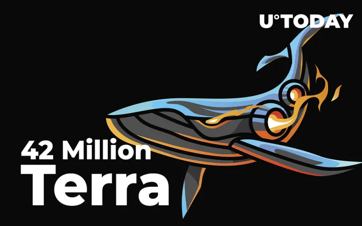 42 Million Terra (UST) Grabbed by Whales: Details