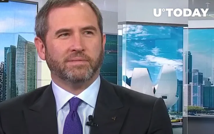 Ripple CEO "Very Pleased" with Recent Court Decision