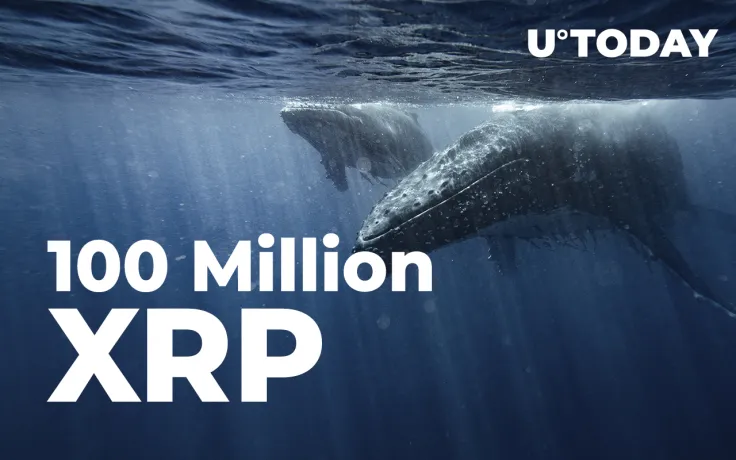 100 Million XRP Purchased by Whale as Coin Consolidates