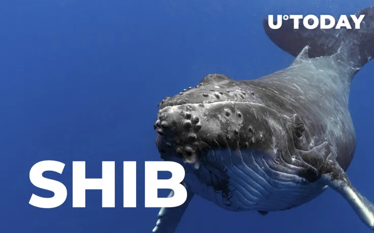 Shiba Inu Whale Grabs Billions of Tokens as SHIB Recovers