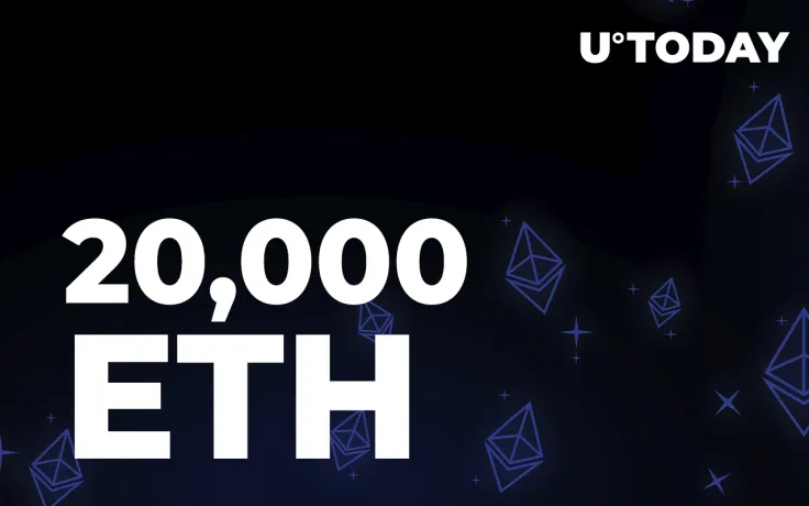 20,000 ETH Moved Between Wallets as Whales Continue to Buy: Details