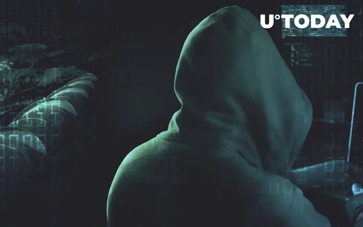 Scammers Create "Elona Musk" Related Tokens Amid Hype Around Entrepreneur's Female Version