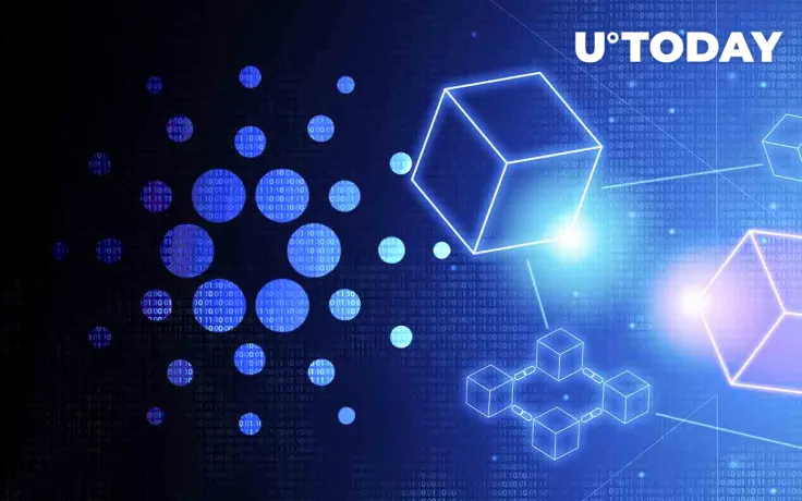 Blockchain Education Hub Platinum Crypto Academy Partners with Cardano’s Bashoswap