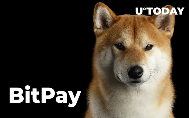 Shiba Inu and Dogecoin Now Accepted by U.S.-Based Logistics Firm in Partnership with BitPay: Details