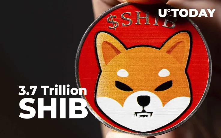 3.7 Trillion SHIB Lands in Whale's Wallet After Massive Purchase: Details
