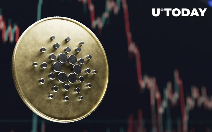 Cardano Records 13% Spike in Total Value Staked Amid Ecosystem Inflows: Details