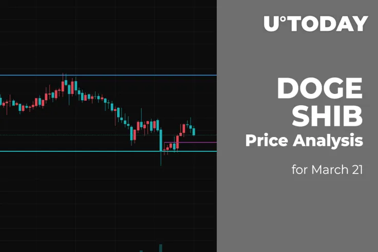 DOGE and SHIB Price Analysis for March 21