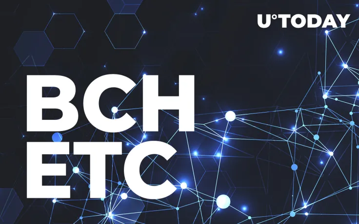 Bitcoin and Ethereum Spinoffs, BCH and ETC, Are Leading Altcoin Rebound: Here's Why